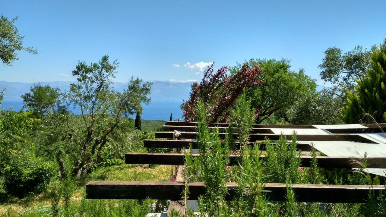 Aiolos Kalamaki  Bagian luar foto