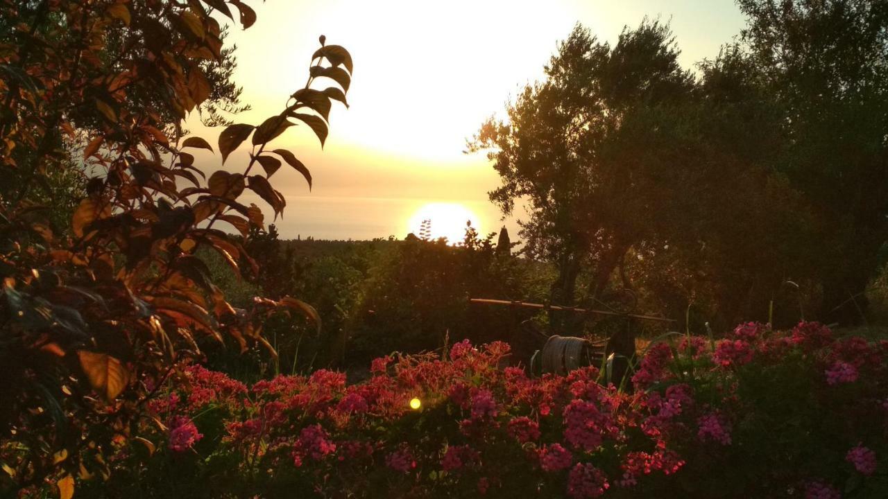 Aiolos Kalamaki  Bagian luar foto